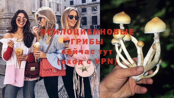 дурь Абаза